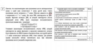 "Разбор заданий ЕГЭ по биологии: линия 27 (задачи по цитологии)"