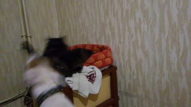 "шипящие" игры