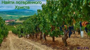 "Найти потерянного Христа". А. Н. Оскаленко. Проповедь. МСЦ ЕХБ.