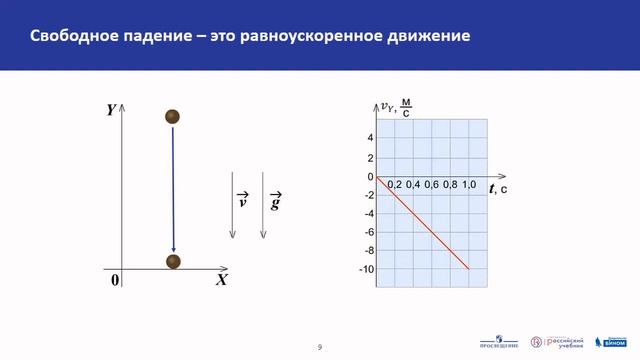 Физика. Ускорение свободного падения