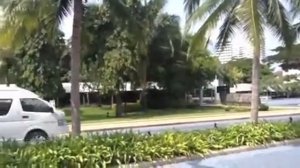 Территория отеля Royal Cliff Beach Hotel (Роял Клифф Бич Отель) 5*