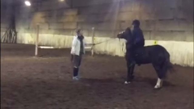 Конюшня-дом родной)?????✨/Кск Московия/Паление⬆️/пони?/Катя/Ксюша/Игумново☀️/Конный спорт?? смотреть онлайн