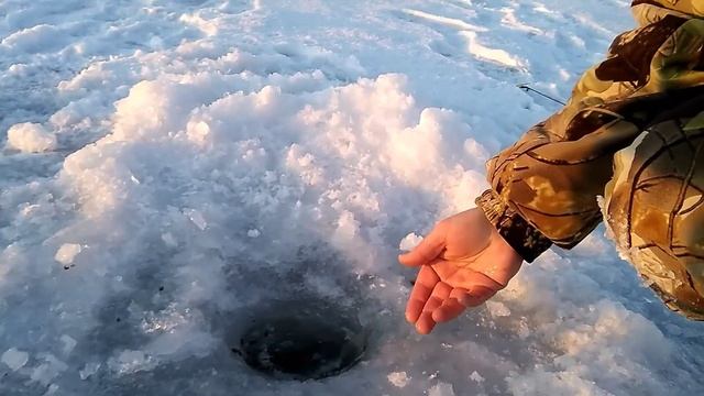 Рыбалка в верховье Белоярки (насосная станция). Разведка по чебаку.
