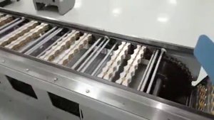 Устройство начинки и склейки Ореха NutFiller