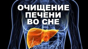 Как вылечить печень силой сознания?