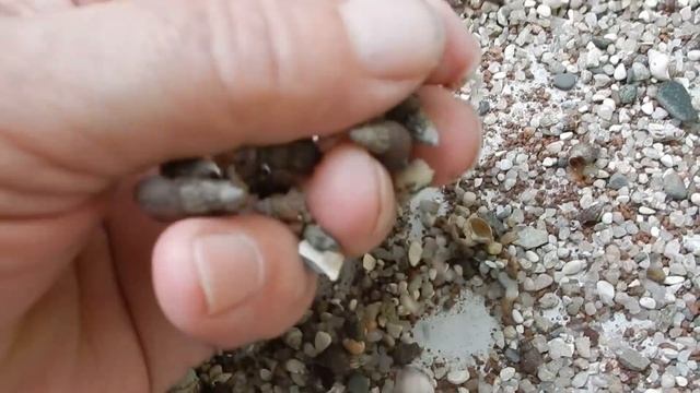 Грунт. Вторая жизнь. смотреть онлайн