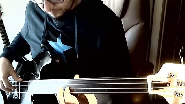 POOH - DOVE STO DOMANI - BASS COVER - IBANEZ ATK 100 FRETLESS смотреть онлайн