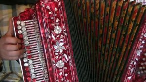 Подари мне,подари... на гармони.