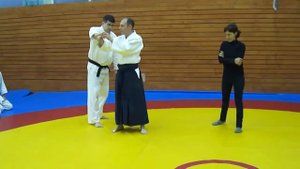 Семинар Ёсинкан Айкидо Жак Пайе. 2011. Уширо Вадза