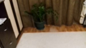 Обзор ультразвукового увлажнителя воздуха Polaris PUH 0545D