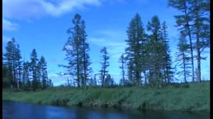 Природа Колымы часть 1