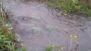 Ключевая вода