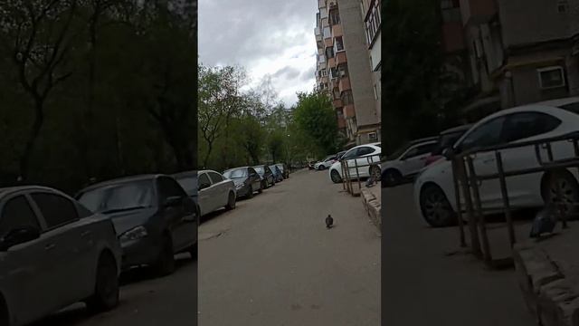 Едем На Московский Рынок