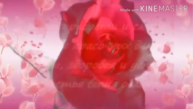 Поздравления с международным женским днём смотреть онлайн