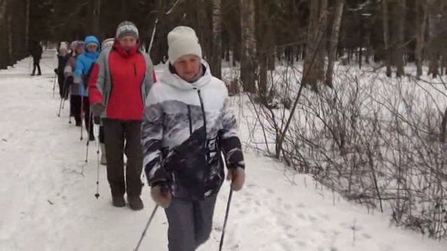 Открытые тренировки (мастер классы) по северной ходьбе в г  Вичуга 3 декабря 2022 года