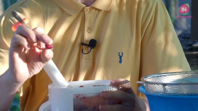 Быстрое удаление косточек из вишен смотреть онлайн