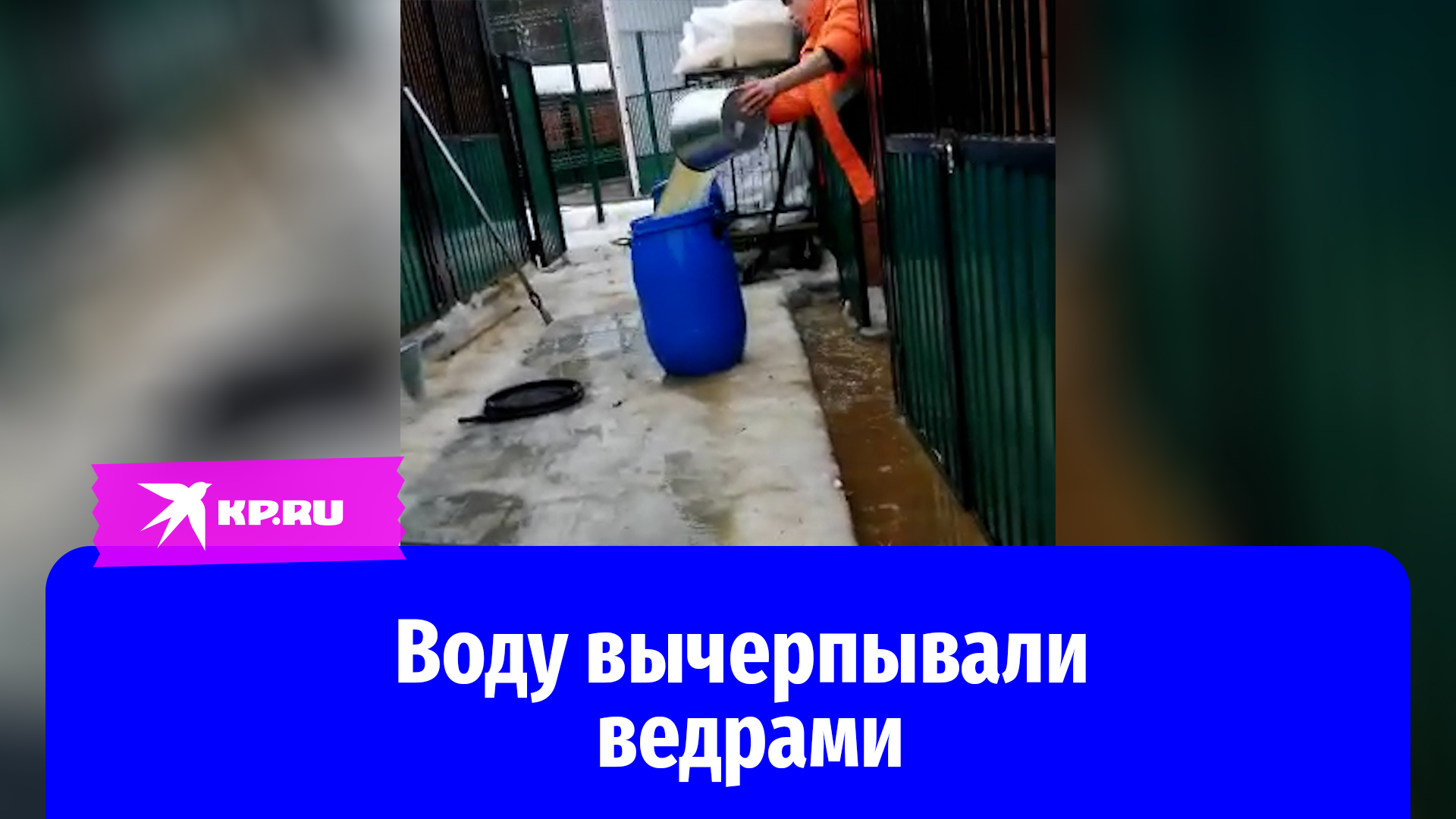 В Новой Москве затопило приют для бездомных животных
