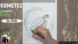 Mesmerizing Sea Turtle Drawing | Free Download