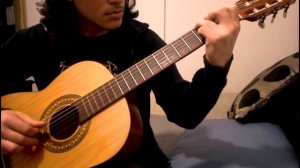 Honor him - Gladiator Fingerstyle Guitar