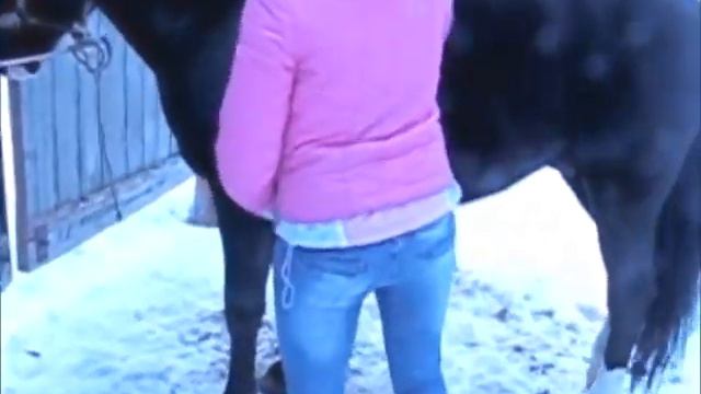 Казачий конный двор смотреть онлайн