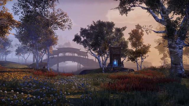 Elder Scrolls Online PC - Vanilla vs ReShade смотреть онлайн