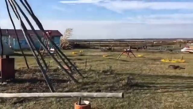 Рязанская область. Ферма «Оленево».