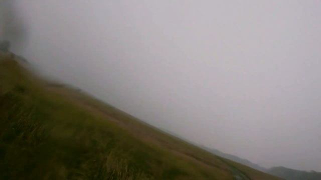 Реанимация саженцев Грецкого ореха. Resuscitation of Walnut seedlings. смотреть онлайн