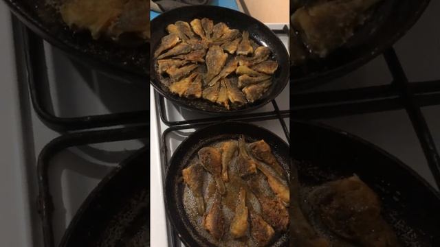 Караси