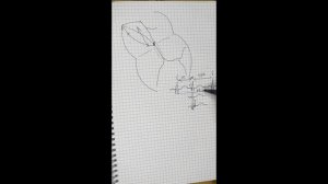 ЭКГ. Экстрасистолия