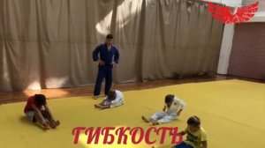 Детское дзюдо judokids