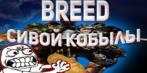 Обзор на игру Breed