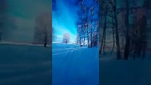 Покатухи снегоход буран с двс лифан 27 л.с и квадроцикл на шинах низкого давления.