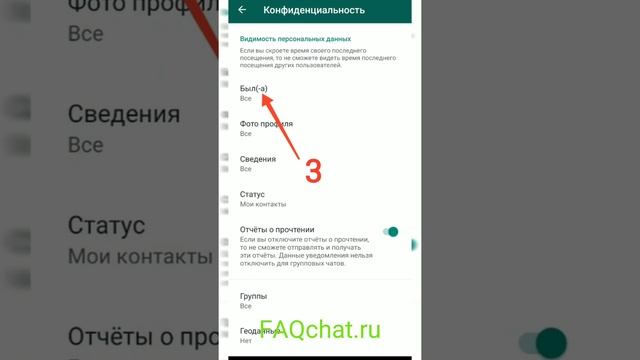 Что значит в сети в ватсапе