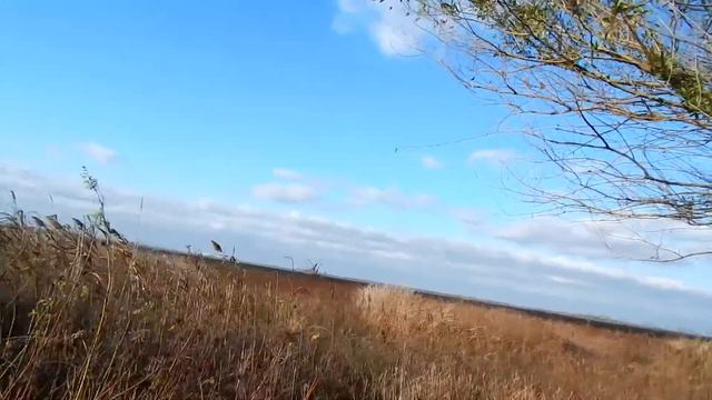 Крюковское водохранилище_ноябрь_2018 смотреть онлайн