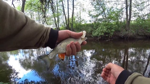 Голавль На Хруща. Рибалка на Травневого Жука смотреть онлайн