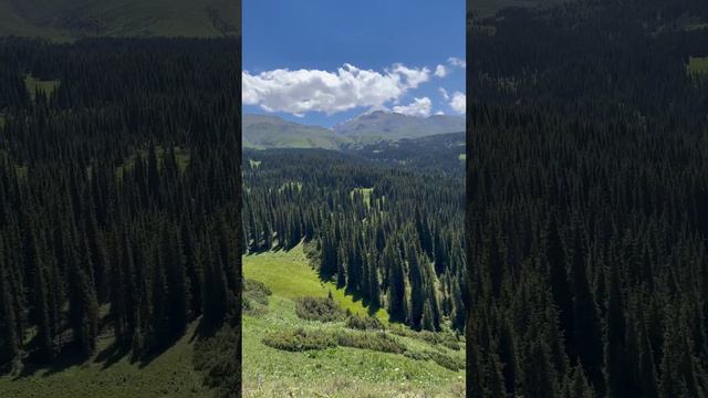 Природа в горах Казахстана. Где-то на плато Асы. Kazakhstan. Mountains. Nature