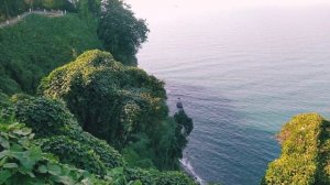 Batumi Botanical garden - батумский ботанический сад - ბოტანიკური ბაღი