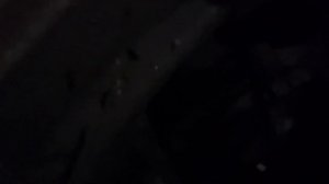 Непонятный стук bmw x5 f15 N55b30