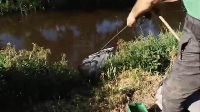 Серия 70. Поплавок. Ловля карася. Рыбалка с Нормундом Грабовскисом. смотреть онлайн