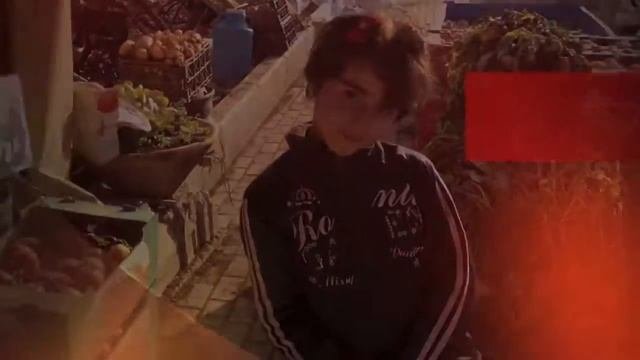 Святая земля Палестины