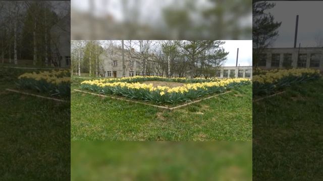 Родина моя малая смотреть онлайн