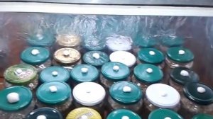 Как сделать ламинарный шкаф и инкубатор мицелия своими руками