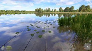 Russian Fishing 4 - Amber carp fishing active spot