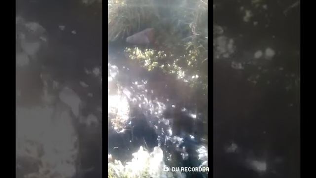 Как увидеть ауру человека.Упражнение. смотреть онлайн