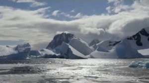 "Zooпарк": "Пингвинья почта"