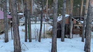 ГЛЦ Абзаково 2023 обзор  /цены / трассы / проживание