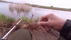 Учусь МОРМЫШИНГУ,а тут КАРАСИ МУТАНТЫ стали ловиться на Поплавок!