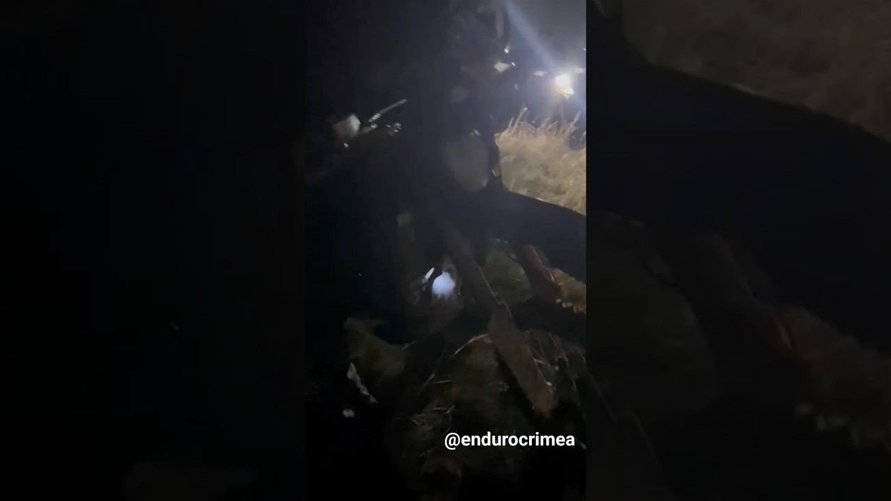 13 ноября 2023 г. смотреть онлайн