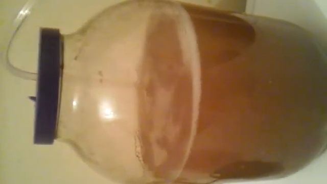 Выращивание яйца артемии смотреть онлайн