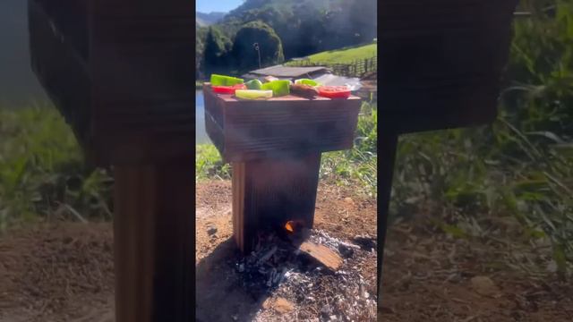 Обычные шашлыки на стройке

Примитивная, но довольно эффективная печка из 2 кирпичей.